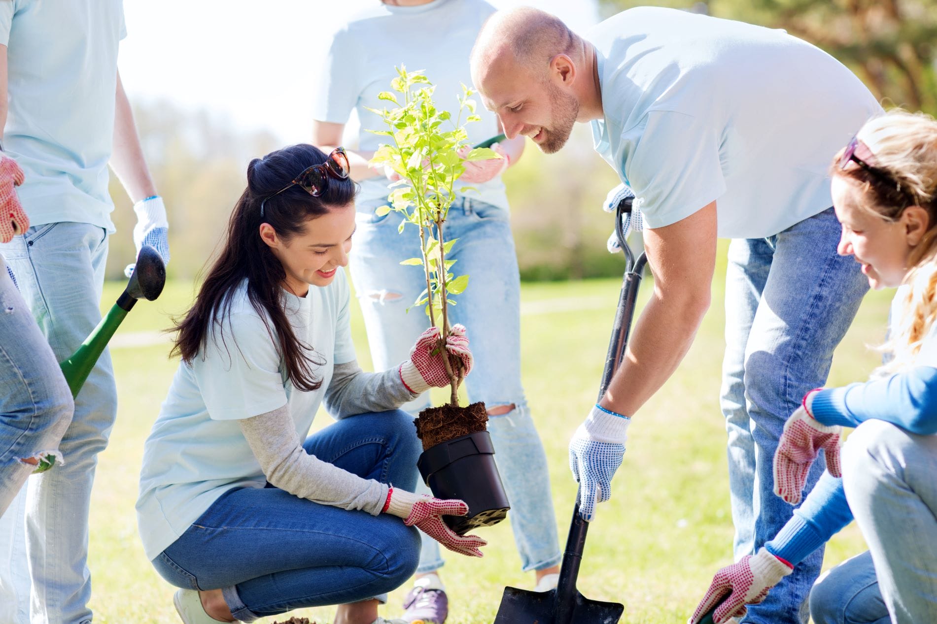 people planting trees