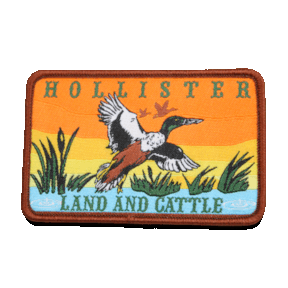 Hollister duck custom iron on woven patch